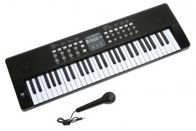Alesis Melody 61-61 Key Portable Keyboard - Black 220 NOT FOR USA