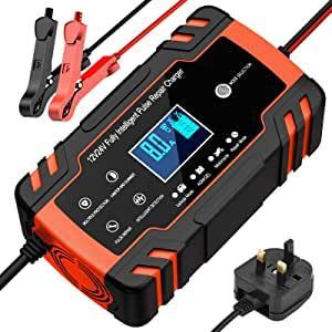 Husgw Car Battery charger,8a 12V/4A 24V Car Battery Charger, Leisur